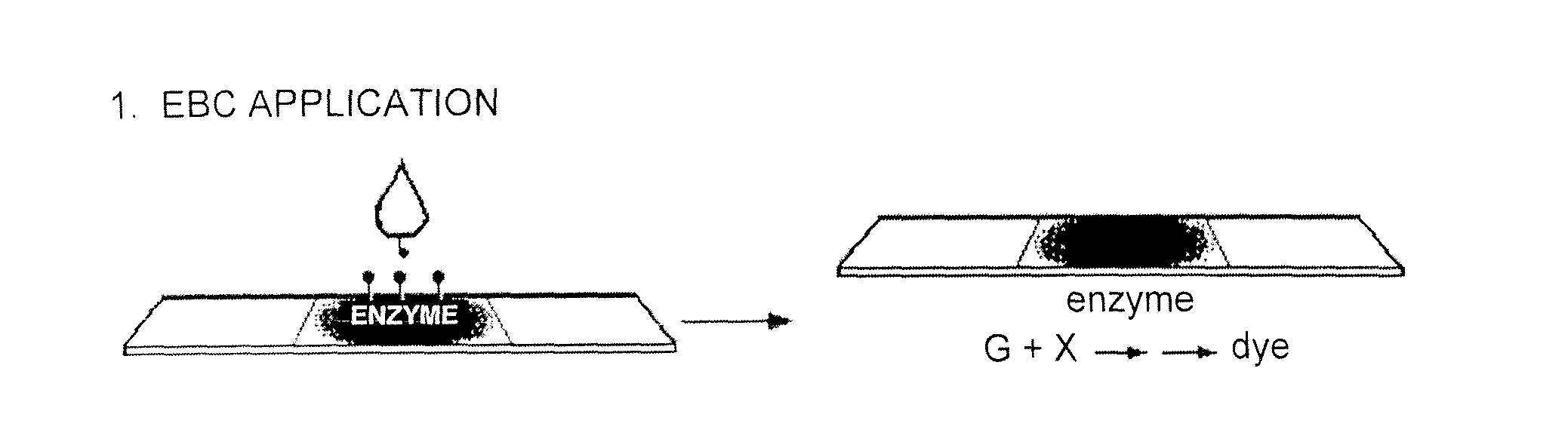 Condensate Glucose Analyzer