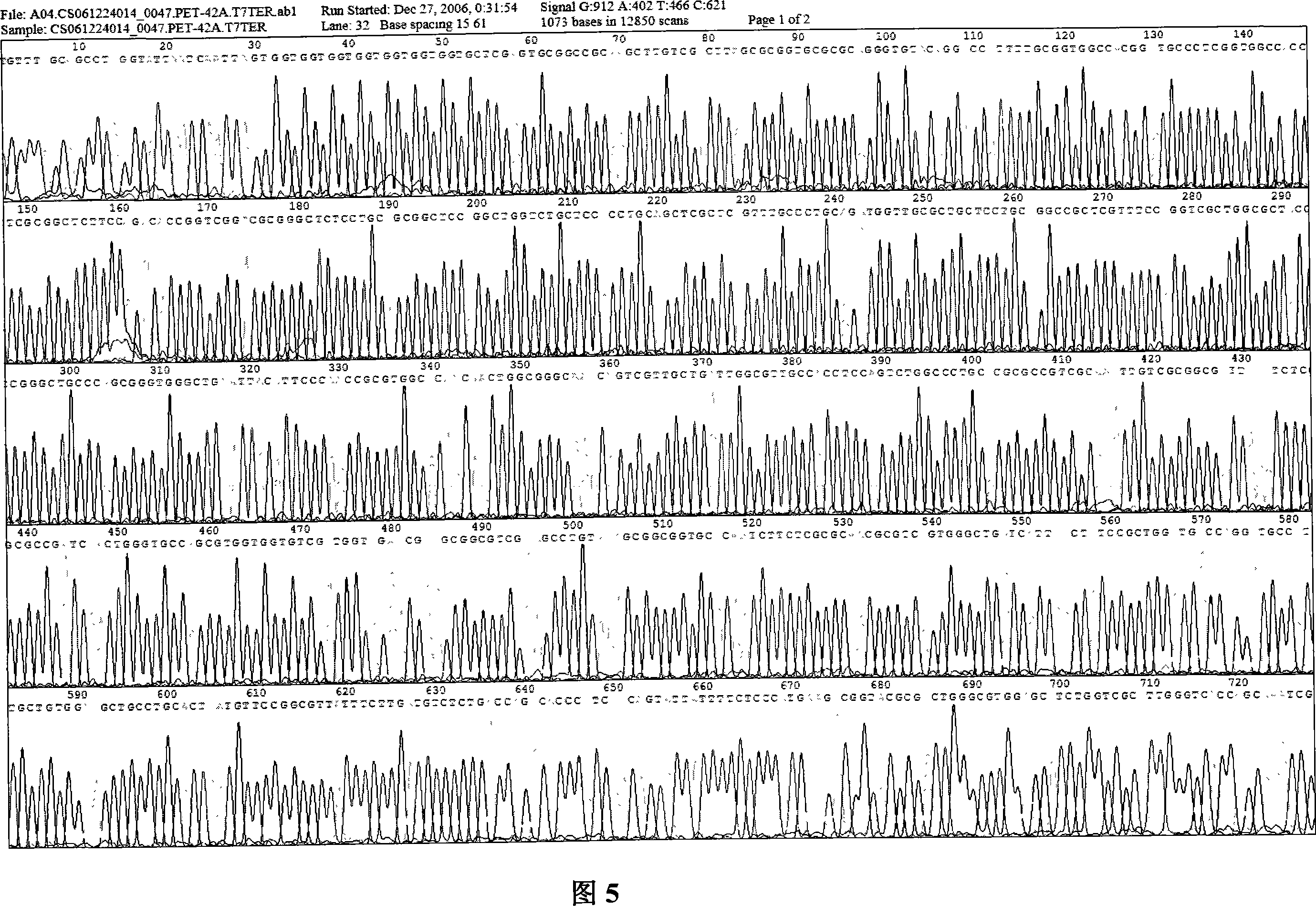 Recombinant protein used as NT-proBNP immunodiagnosis reagent standard as well as preparation method and use thereof