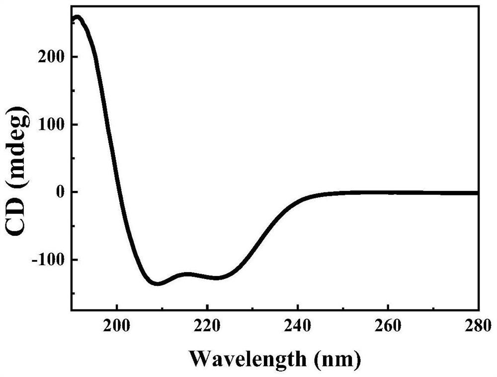 Polyamino acid hydrogel as well as preparation method and application thereof