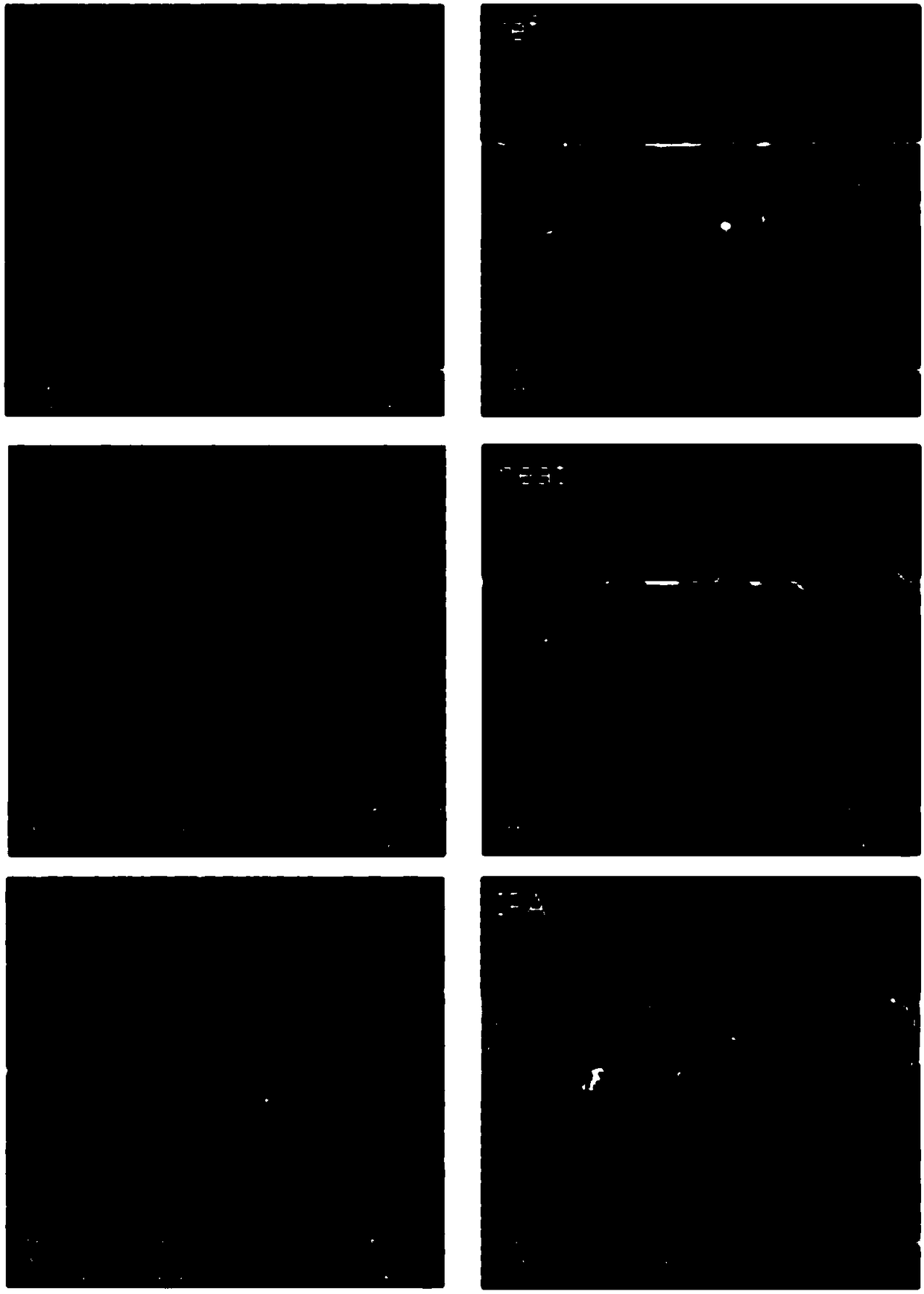 Porous metal halide film, fabrication method thereof, and fabrication method of organometal halide having perovskite structure using the same