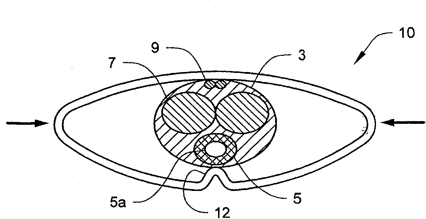 Penile compression device