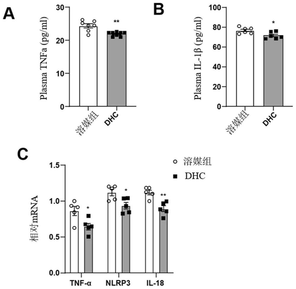 Application of DHC (dehydrocorydaline) in preparation of preparation for treating atherosclerosis