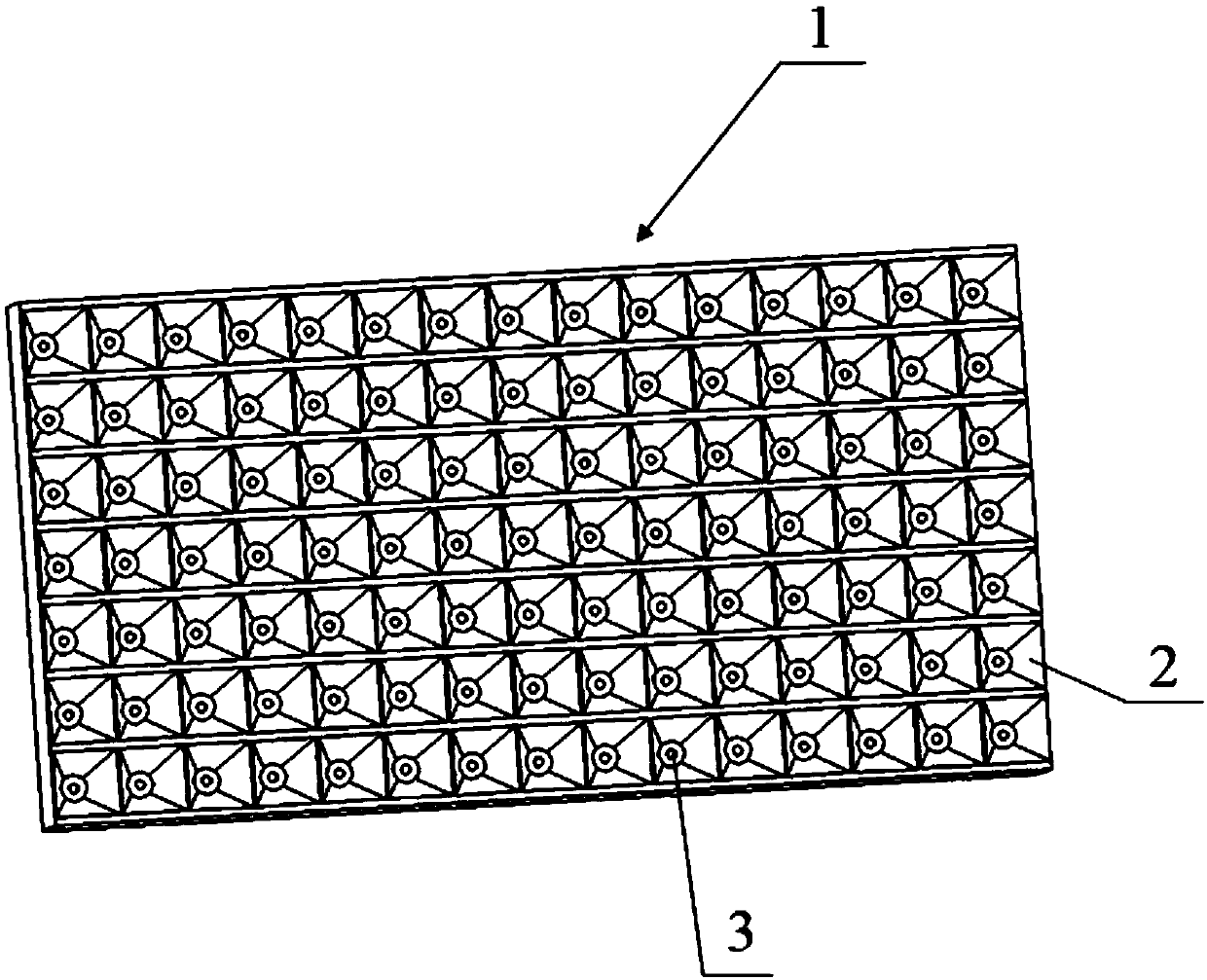 Plug-seedling culture method for Salvia miltiorrhiza