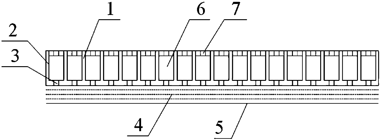 Plug-seedling culture method for Salvia miltiorrhiza