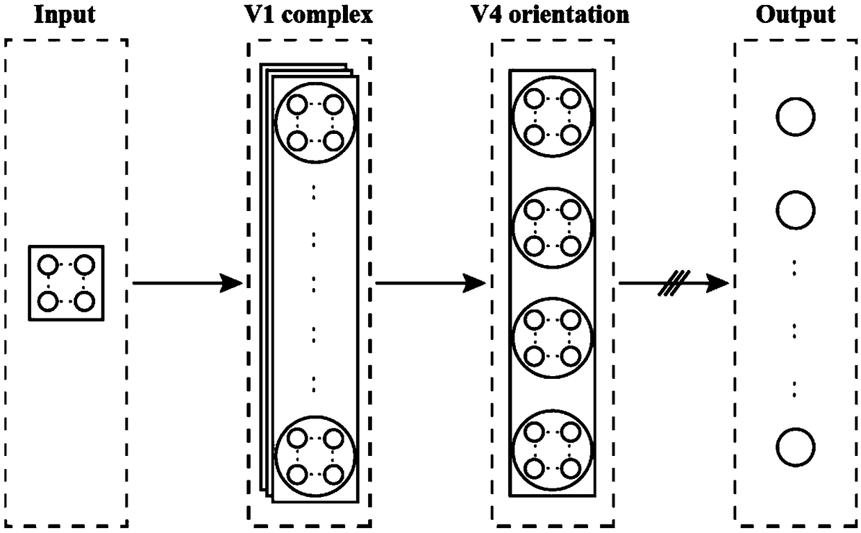 Image classification method based on visual cortex processing mechanism and pulse supervised learning