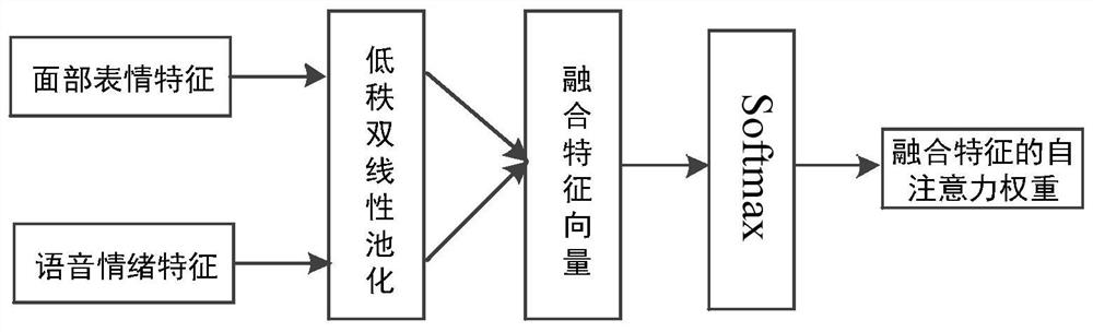 Driver road rage identification method based on deep fusion of facial expressions and voice