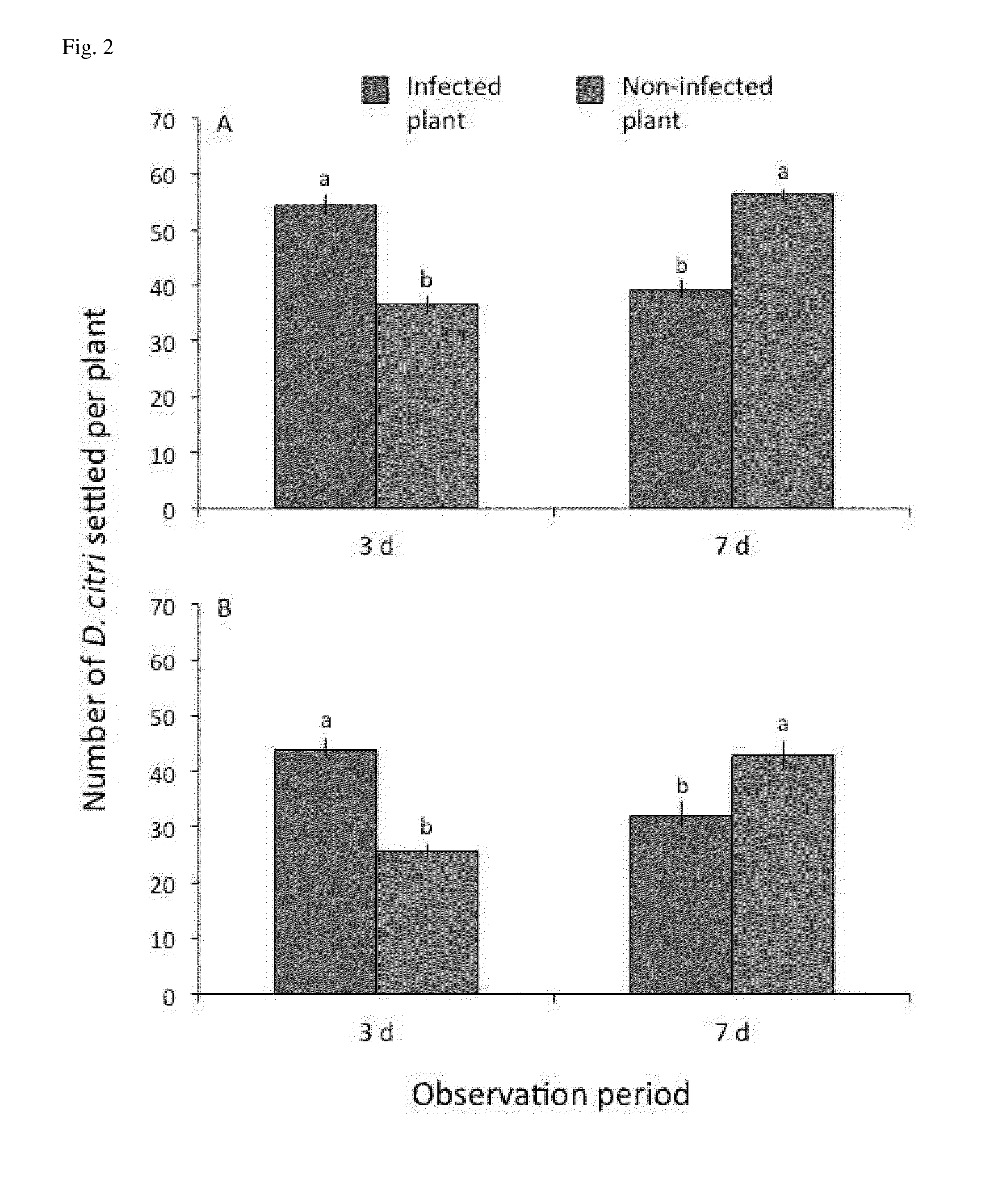 Methyl salicylate-based attractants for vectors of citrus greening disease