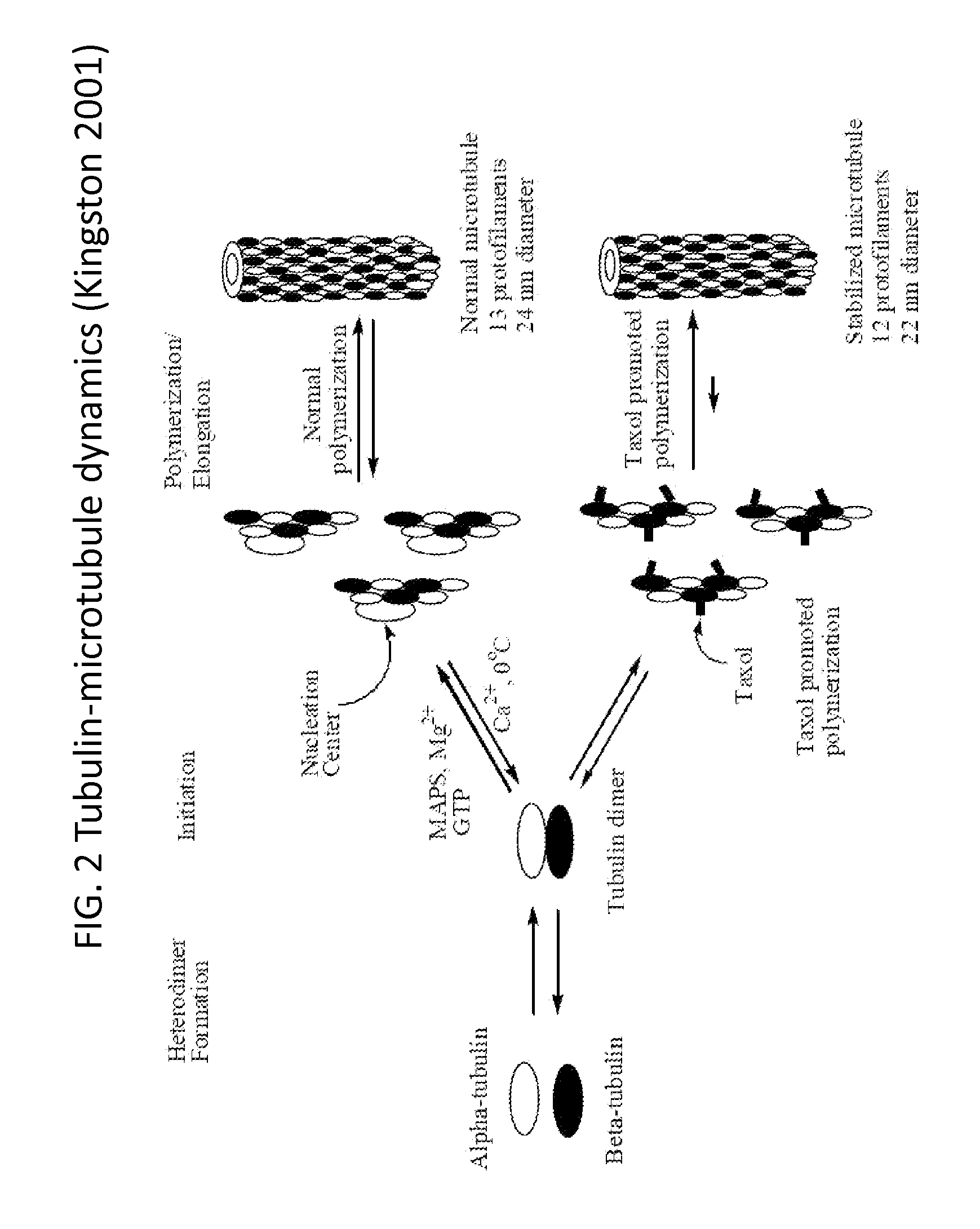 Solid nanoparticle formulation of water insoluble pharmaceutical substances with reduced ostwald ripening