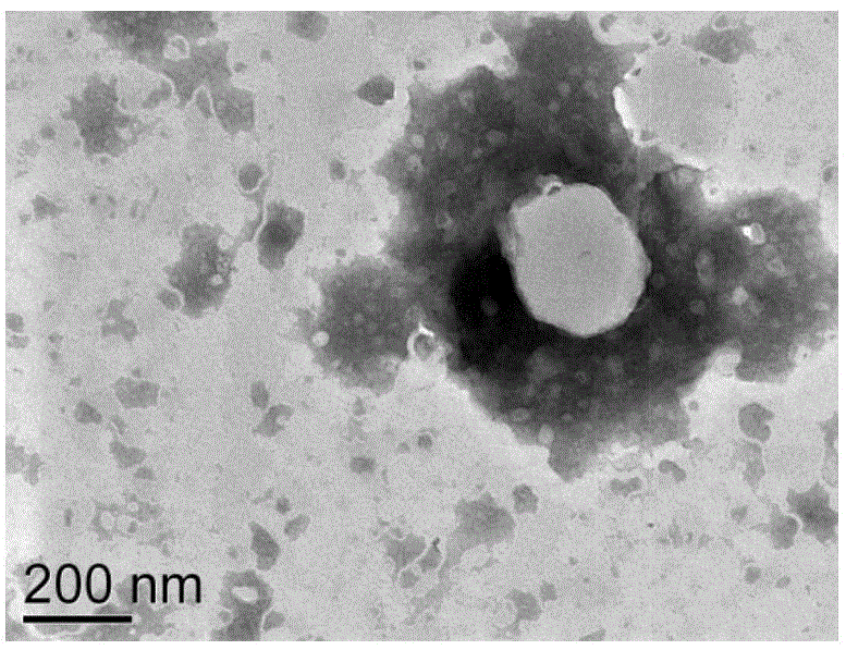 PH sensitive phospholipid molecule and preparation method as well as application thereof