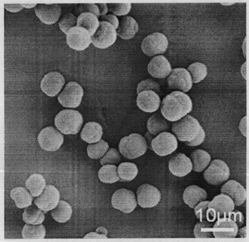 Method for preparing single polyelectrolyte microcapsule based on ferrocene hydrophobic interaction