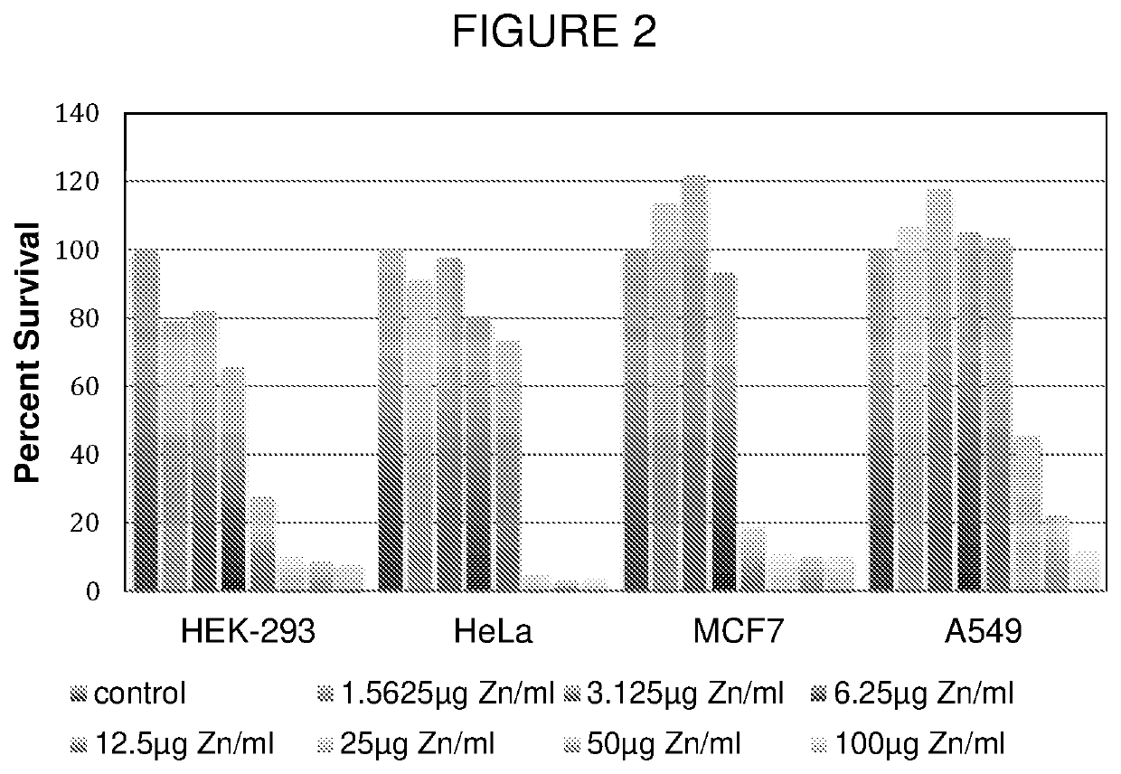 Compositions comprising alpha-polyglutamic acid-zinc for treating cancer