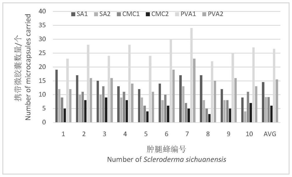 A nano-microcapsule suitable for carrying Scleroderma sichuanensis and its preparation method