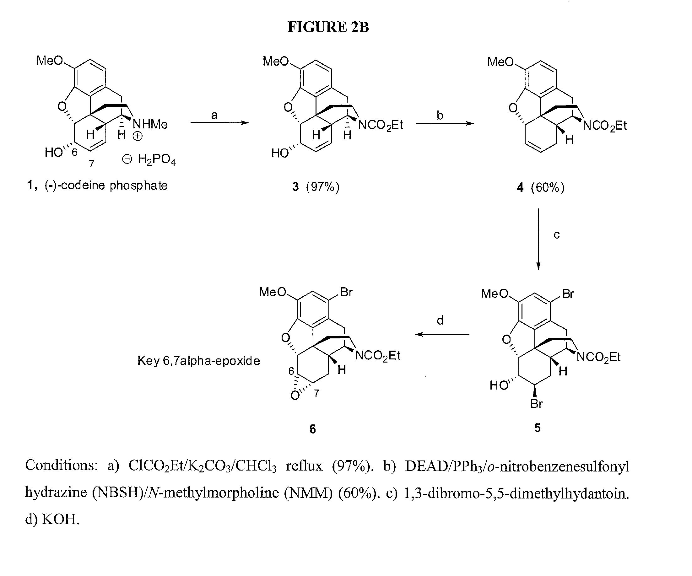 Chemical transformations of (-)-codeine to afford derivatives of codeine and morphine thereof