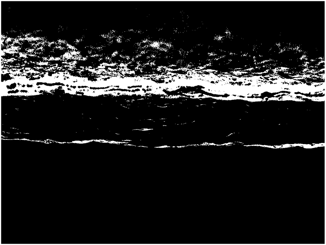 A kind of graphene foam film and its preparation and application