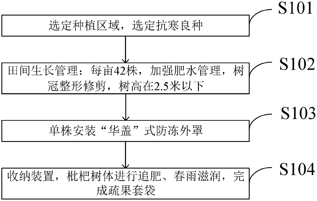 Anti-freezing cultivation management method suitable for loquat orchard at mountainous area