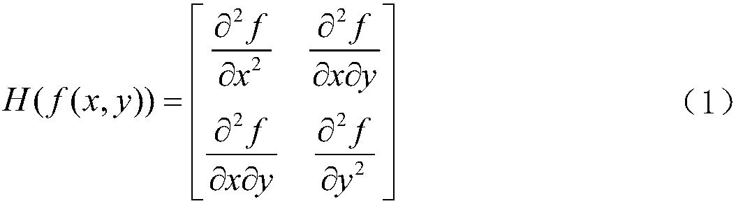 Image matching method based on local invariant features