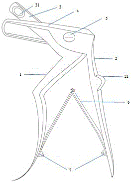 Rat vertebral plate bone scissors and rat vertebral plate cut-out method adopting same