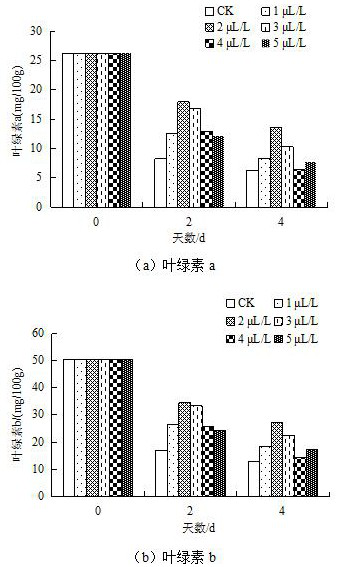 Fresh-cut cabbage preservation method and application thereof