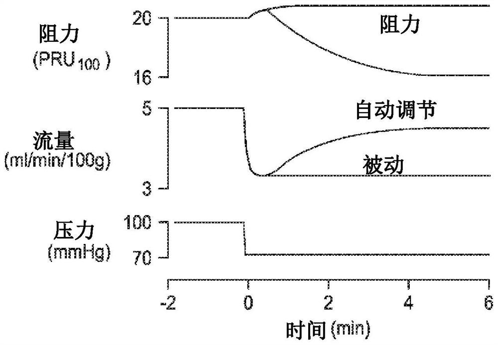 Autoregulation system and method using tissue oximetry and blood pressure