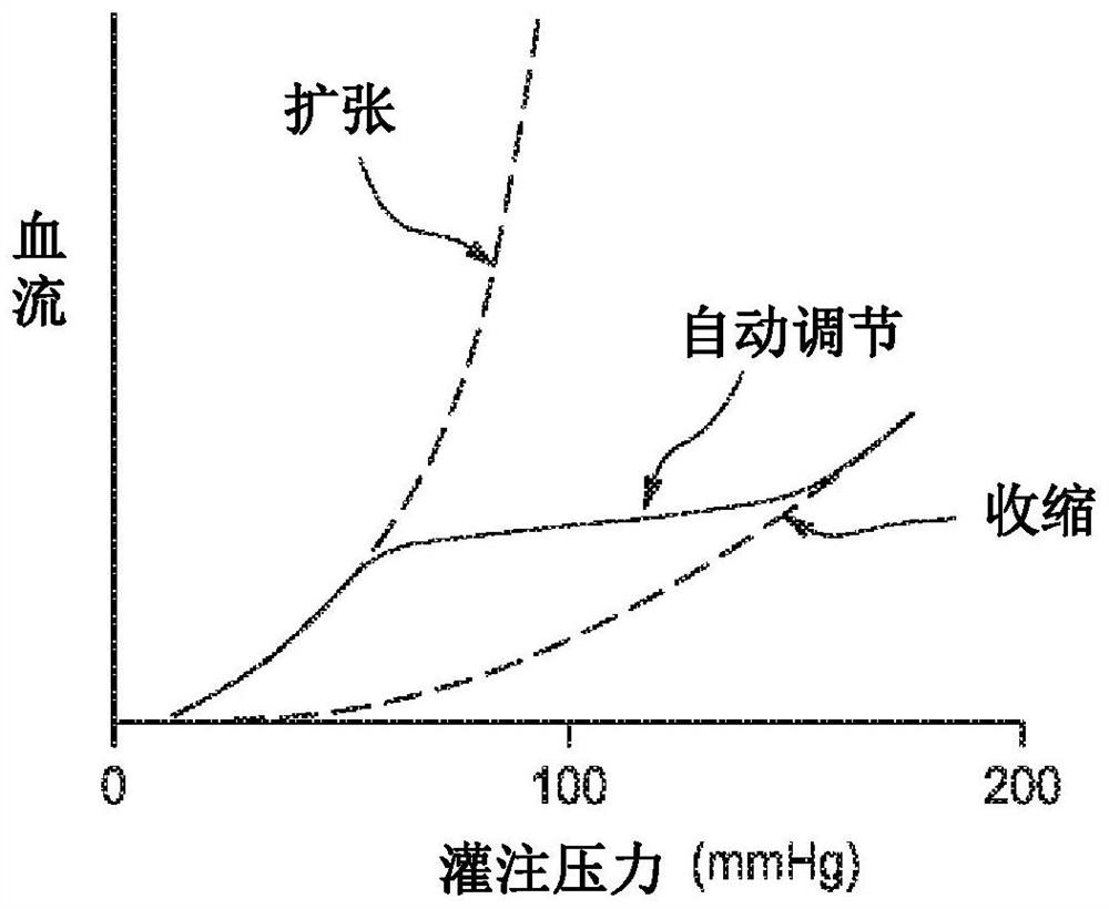 Autoregulation system and method using tissue oximetry and blood pressure