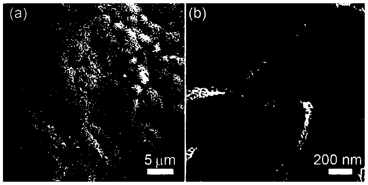 A three-dimensional nickel-doped iron-based oxygen evolution catalyst and its preparation method and application