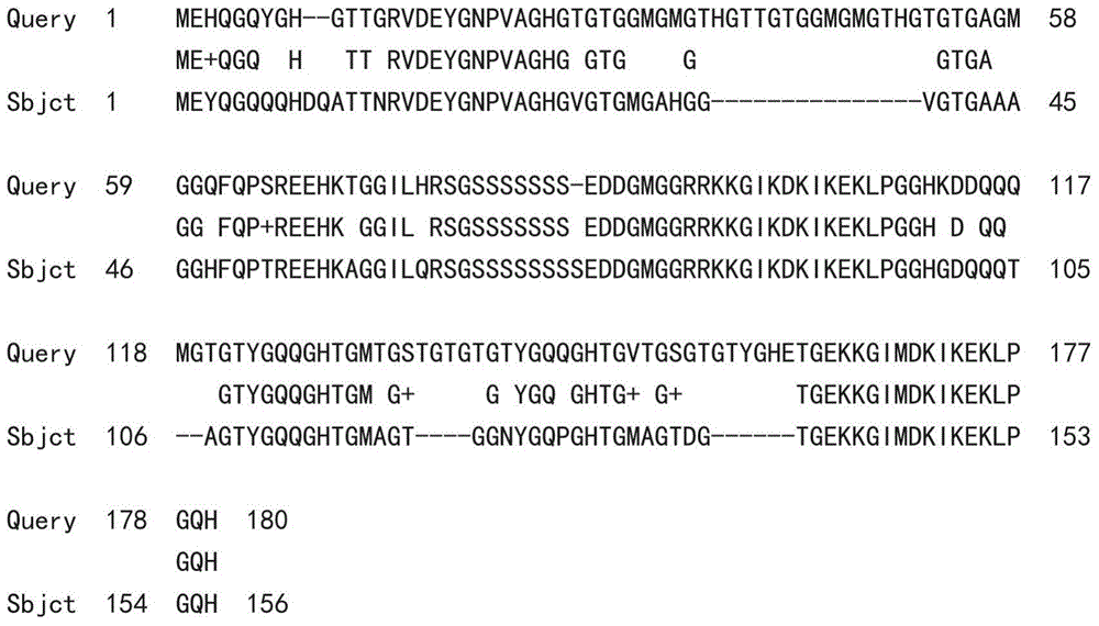 Bermuda grass 'Tifway' dehydrin-L, encoding gene and probe thereof