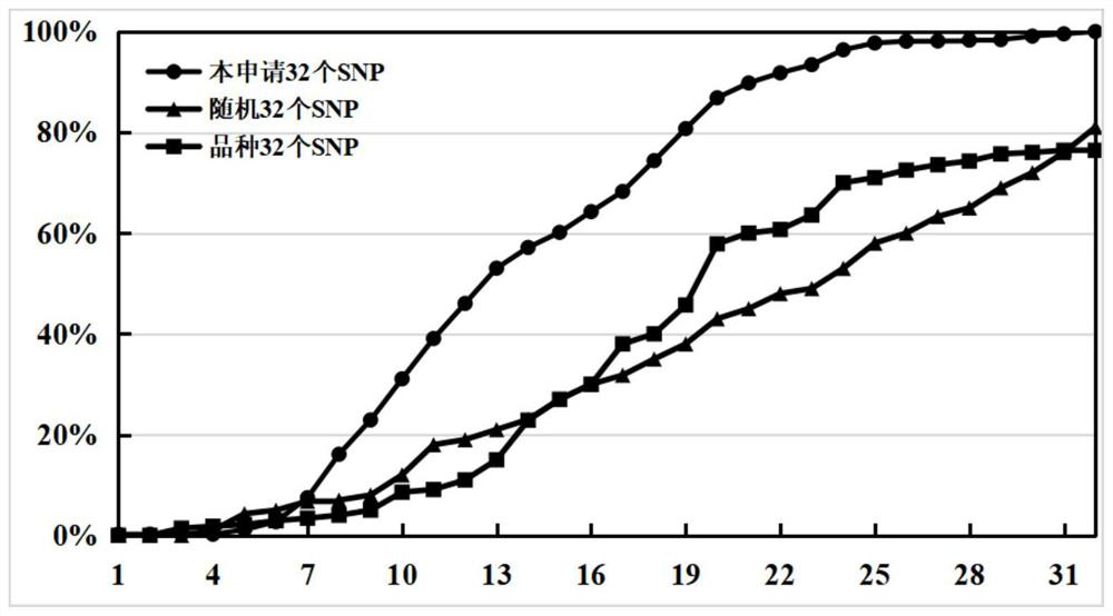 SNP locus and primer combination for identifying germplasm authenticity of cucumis melo, and application