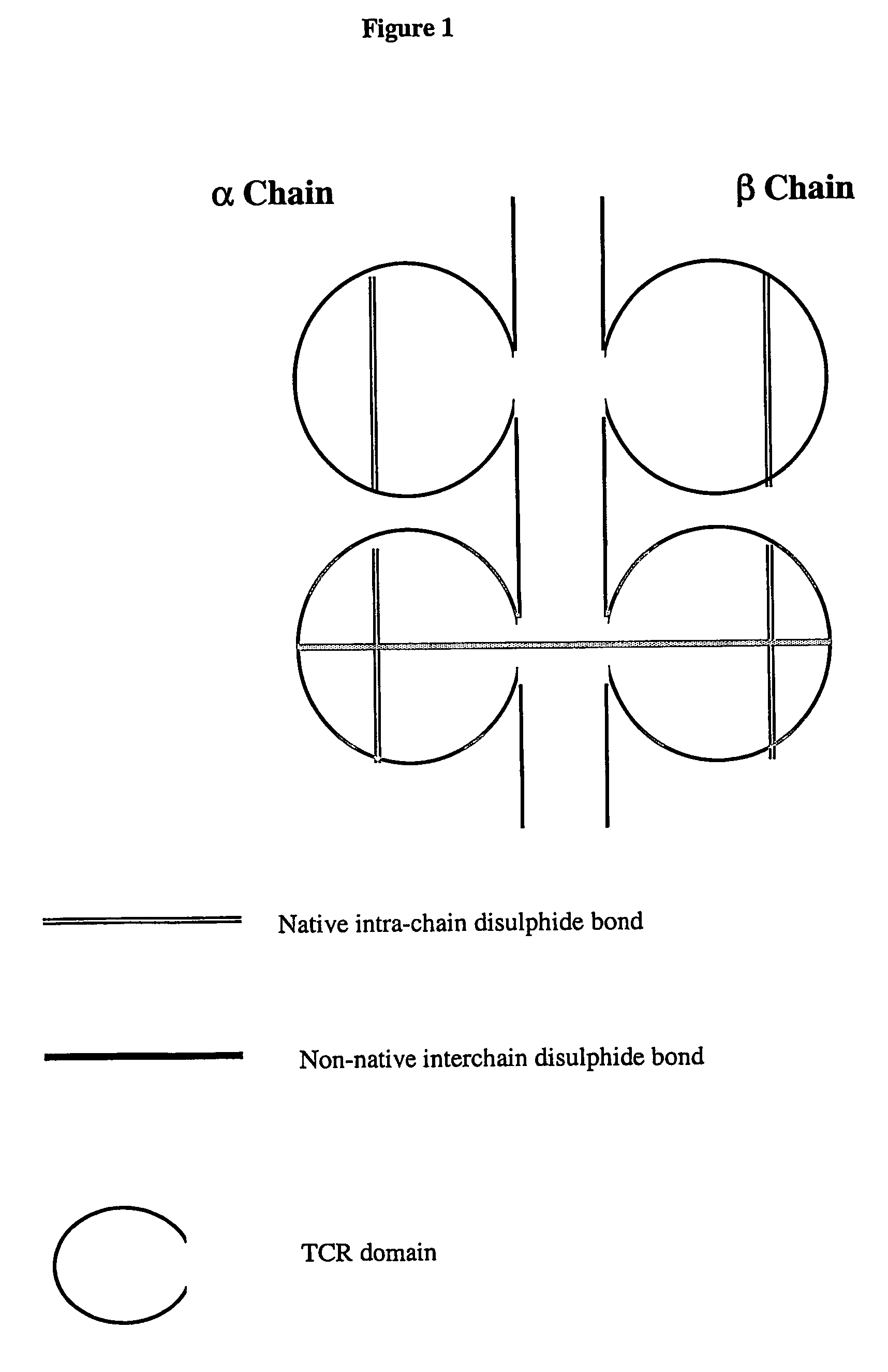 Modified soluble T cell receptor