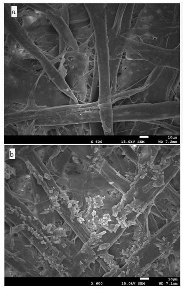 A kind of preparation method of paper-based adsorbent based on wood fiber