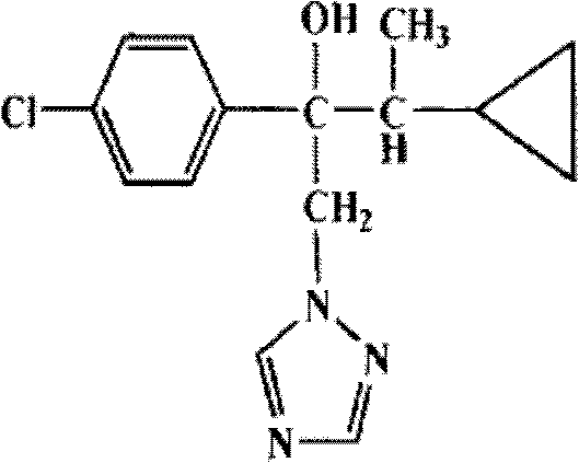 Sterilizing composition comrpising cyproconazole and abietic acid copper