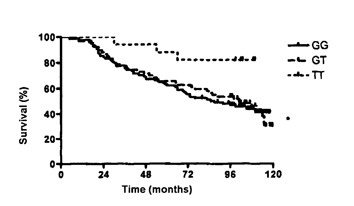 Use of genetic modifications in human gene chk1 which codes for checkpoint kinase 1