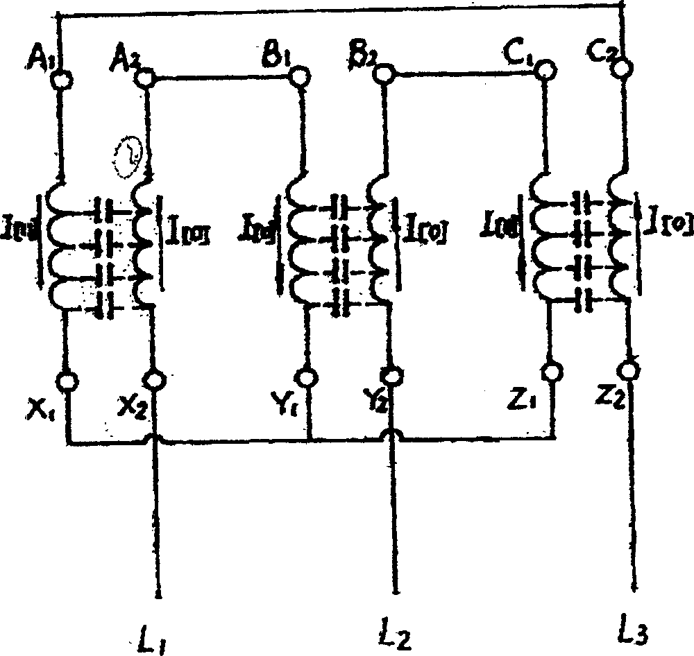 Capacitive transformer preventing thunderstruck and interference