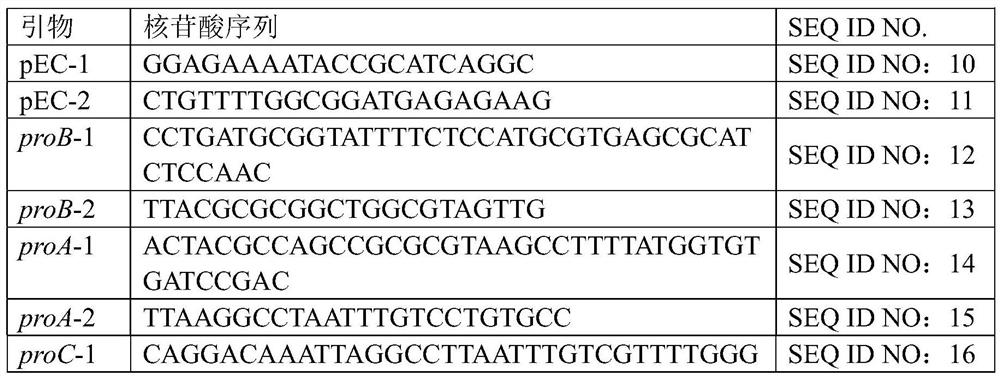 Corynebacterium glutamicum high-producing l-proline and method for high-producing l-proline