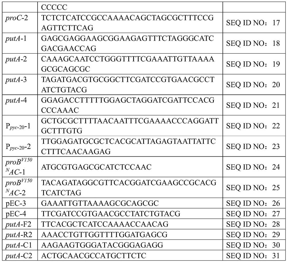 Corynebacterium glutamicum high-producing l-proline and method for high-producing l-proline