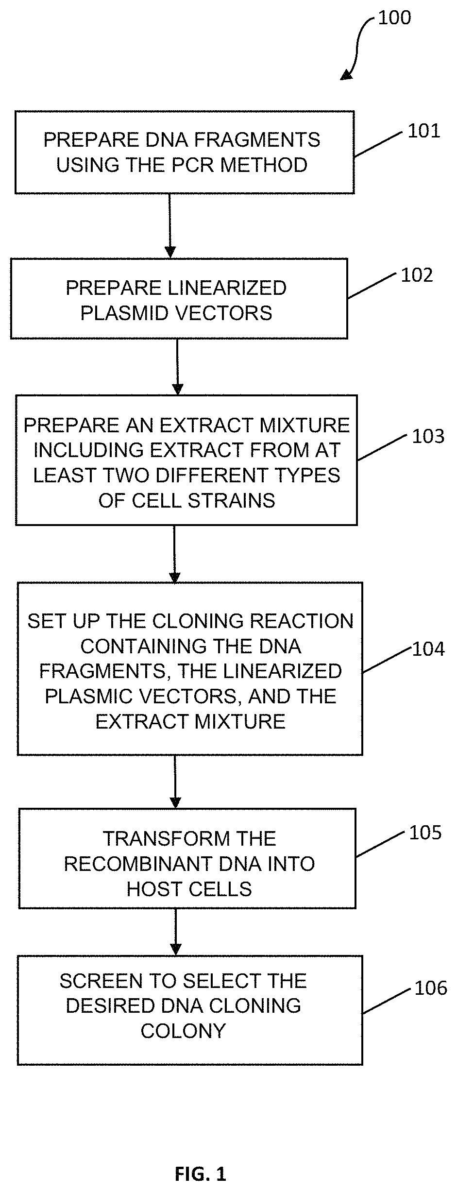 Mixture of cell extract and method for site-directed cloning