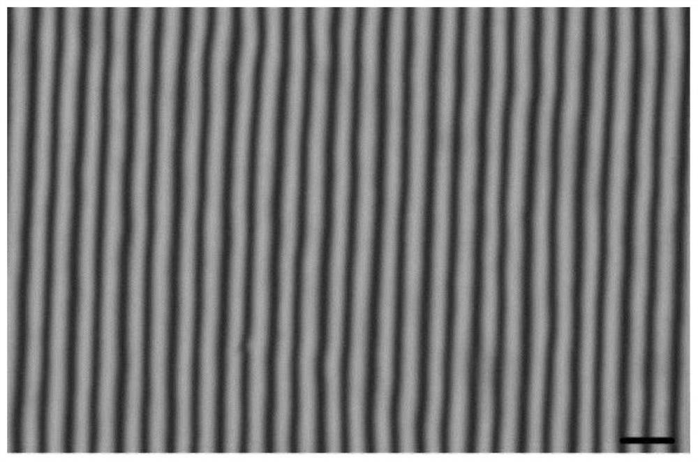 A Hybrid Alignment Dual-frequency Liquid Crystal Polarization Grating