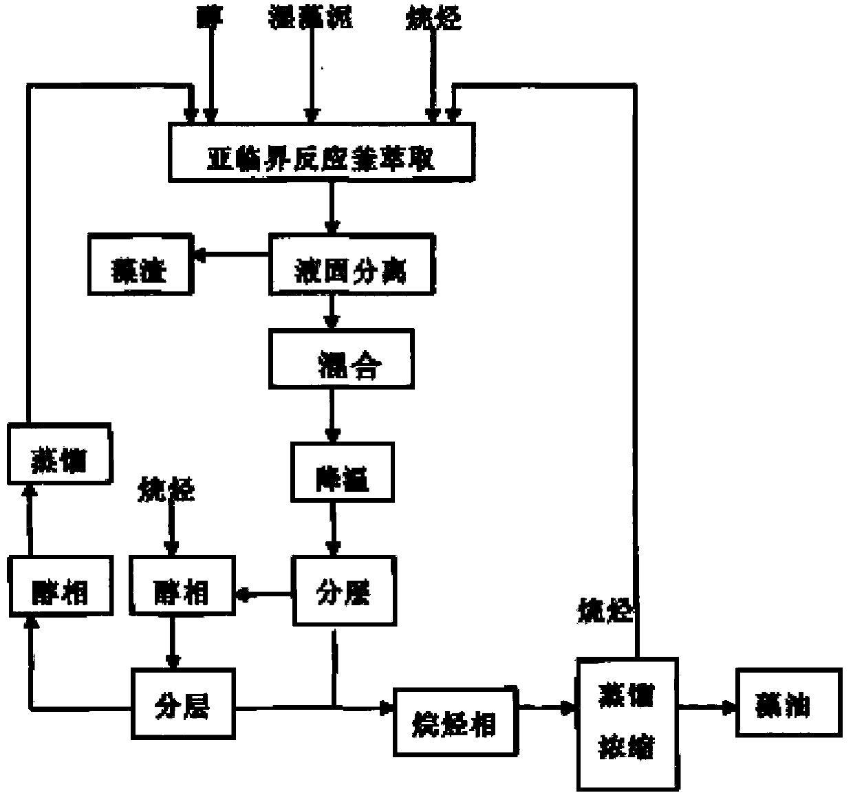 Method for extracting wet algae oil