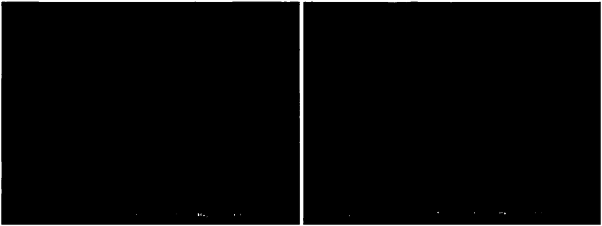 Polypyrrole surface-modified one-dimensional silicon-based gas sensitive material and preparation method thereof