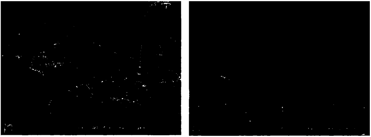 Polypyrrole surface-modified one-dimensional silicon-based gas sensitive material and preparation method thereof