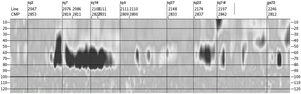 Thin layer sedimentary microfacies inversion method and apparatus