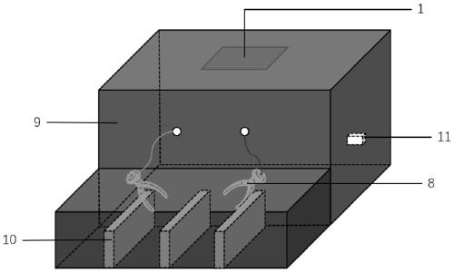 Automatic detector and detection method for rapidly detecting fish body storage mode without damage