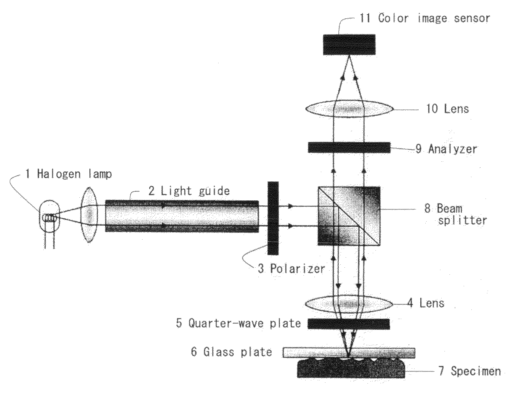 Contact area measurement device and method for measuring contact area