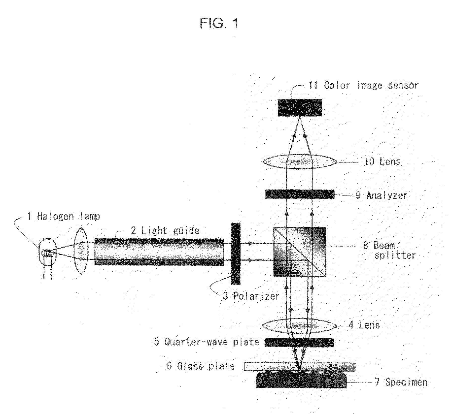 Contact area measurement device and method for measuring contact area