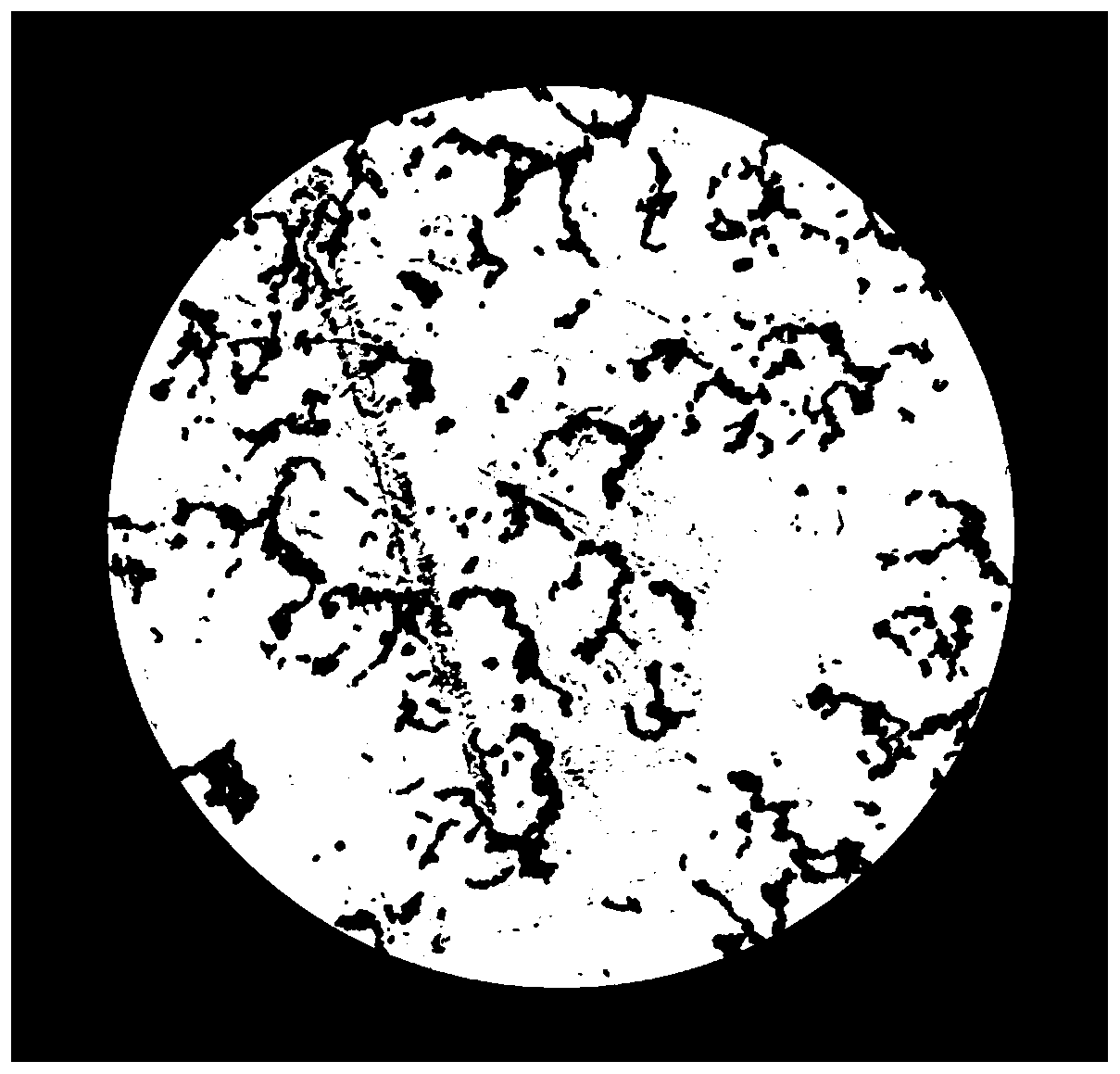 A strain of Lactococcus lactis with high yield of 6-phospho-β-galactosidase and its application