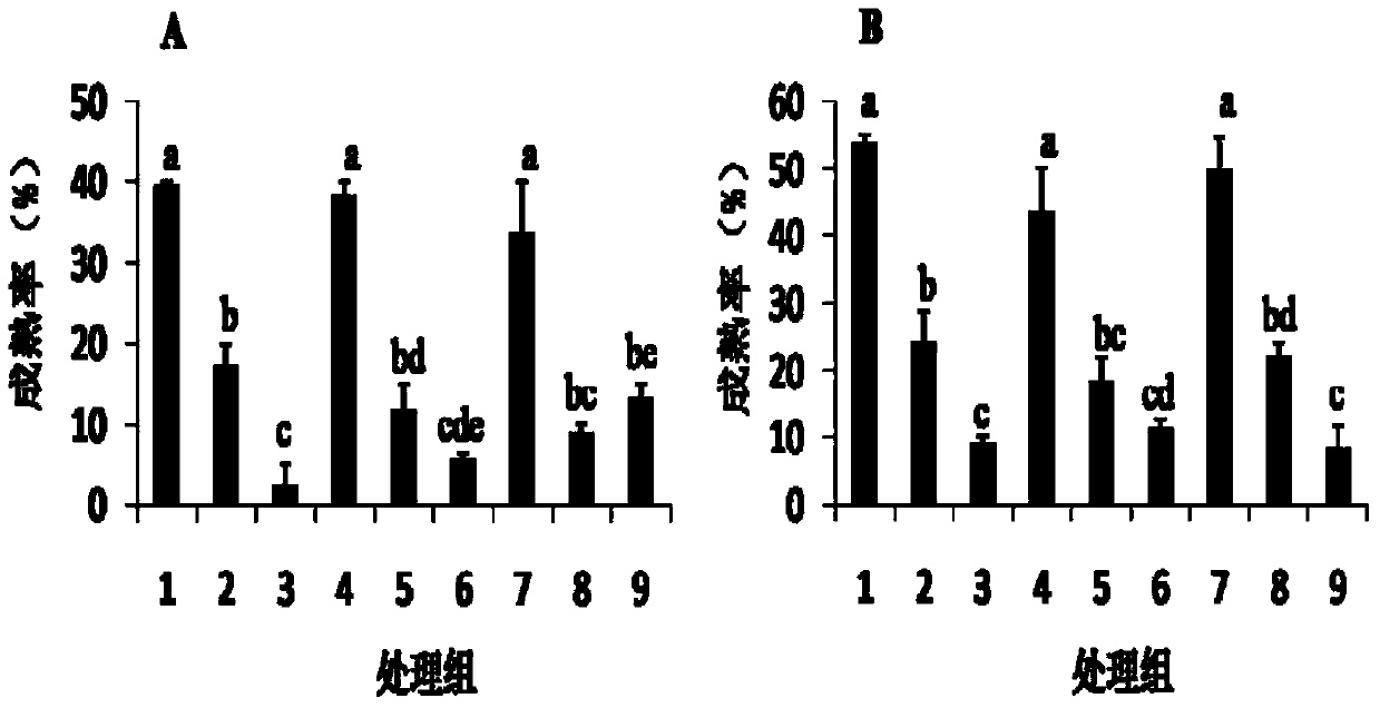 Light environment regulating method for promoting gonad maturation of Atlantic salmons