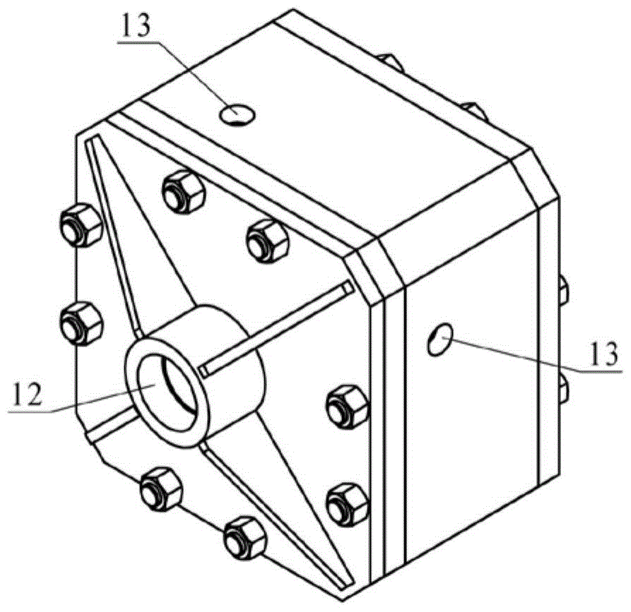 A kind of multiple cam pump