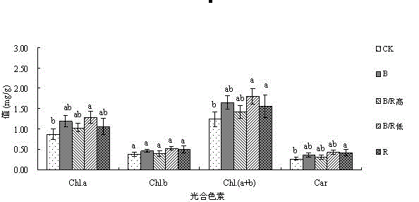 Technology for culturing fava bean sprout by adoption of artificial light source