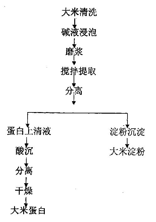 Method for extracting rice protein by alkaline process