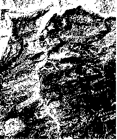 Terrain correction method for remote sensing image based on micro terrain