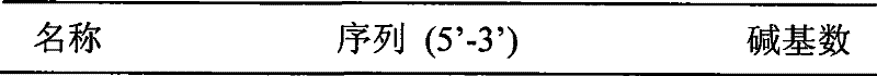 HLA-B27 genotyping detection kit